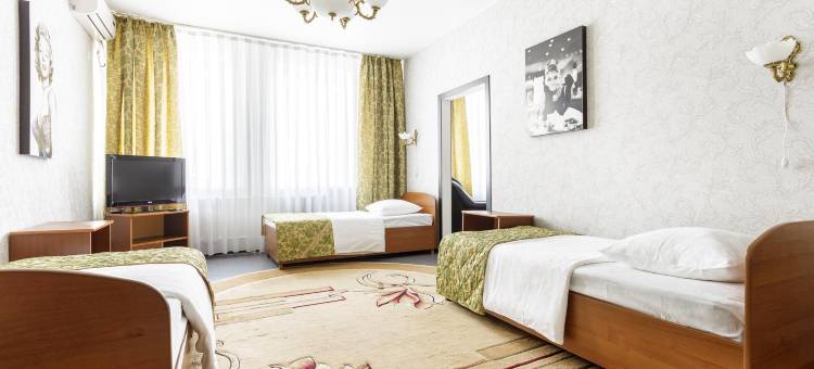 斯特拉尼克酒店(Strannik Hotel)图片