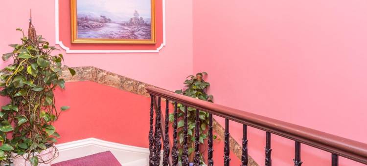 孟席斯旅馆(Menzies Guest House)图片
