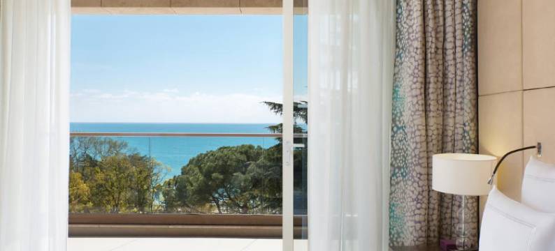 索契卡米利瑞士酒店(Hotel Swissotel Resort Sochi Kamelia)图片