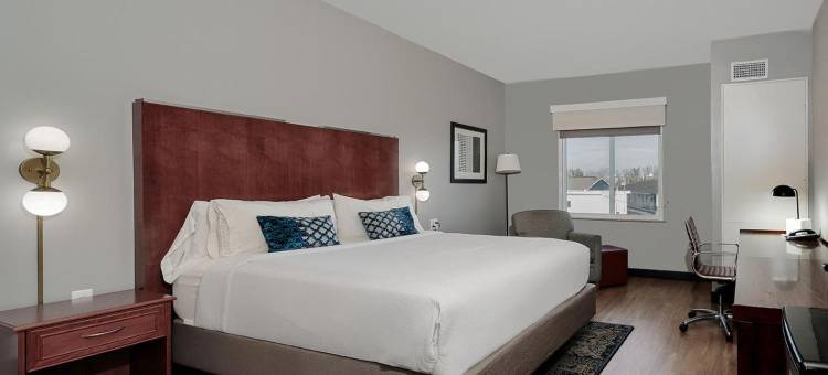 休斯顿霍比机场福朋喜来登酒店(Four Points by Sheraton Houston Hobby Airport)图片