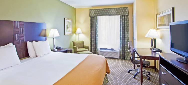 智选假日套房酒店圣奥古斯丁北(Holiday Inn Express & Suites SAINT AUGUSTINE NORTH by IHG)图片