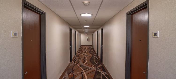 尤马速8酒店(Super 8 by Wyndham Yuma)图片