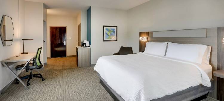 智选假日套房酒店海恩斯维尔(Holiday Inn Express & Suites Hinesville East - Fort Stewart)图片