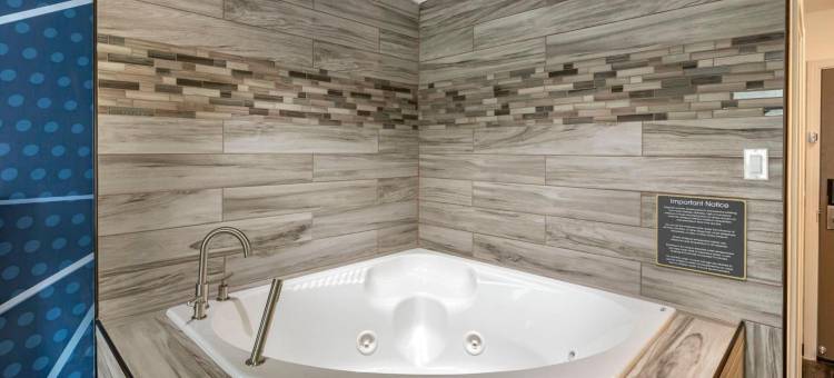 芒特普林森 - 拉辛舒适酒店(Comfort Inn Mount Pleasant – Racine)图片