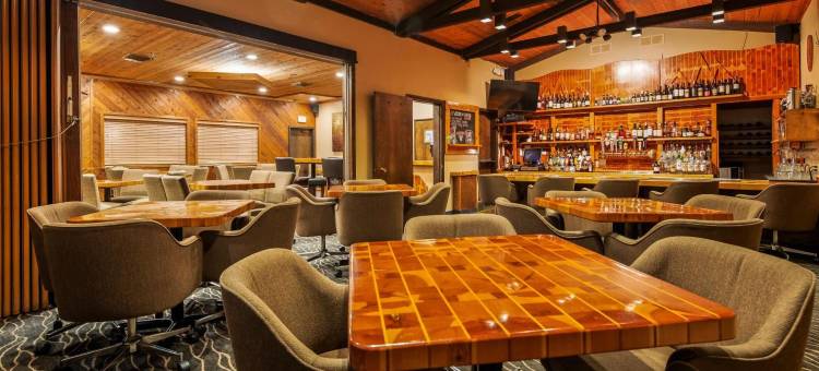 树屋贝斯特韦斯特优质酒店(Best Western Plus Tree House)图片