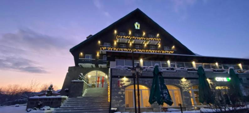 乌苏尔内格鲁别墅(Vila Ursul Negru)图片