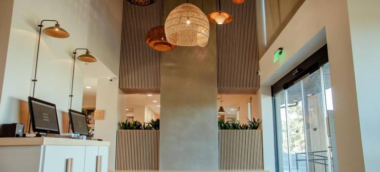 布鲁特酒店(Brut Hotel)图片