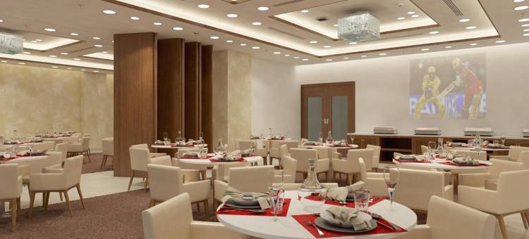阿尔特鲁斯特纳维孟买酒店(The Altruist Navi Mumbai Hotel)图片