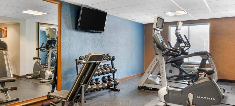 舒适酒店及套房-丹伯里-贝瑟尔(Comfort Inn & Suites Danbury-Bethel)图片