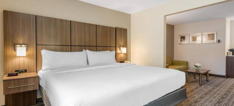 Holiday Inn 墨尔本韦奇立会议CTR(Holiday Inn MELBOURNE-VIERA CONFERENCE CTR by IHG)图片
