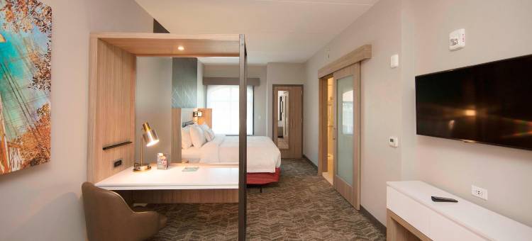 雅典市中心-大学区万豪SpringHill Suites酒店(SpringHill Suites Athens Downtown/University Area)图片