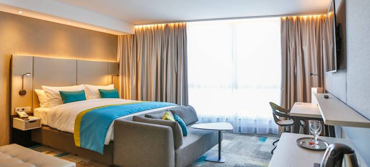 菲林根-施文宁根假日酒店(Holiday Inn Villingen - Schwenningen)图片