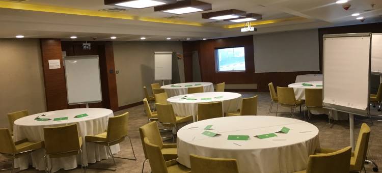 加济安泰普假日酒店(Holiday Inn Gaziantep Sehitkamil)图片