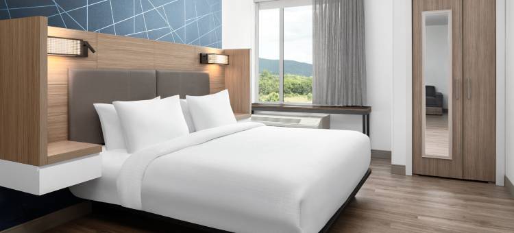 北罗阿诺万豪春丘酒店(SpringHill Suites Roanoke North)图片