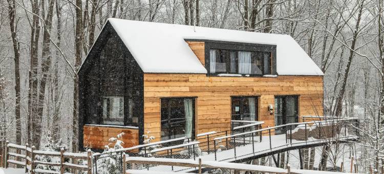 查特沃尔旅馆(The Chatwal Lodge)图片