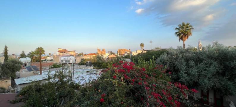 拜图旅馆(Betul Guest House)图片