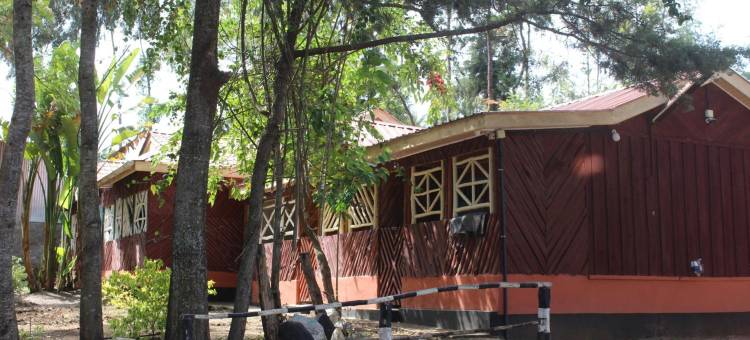 宁静家庭旅馆(Tranquil Homestay)图片