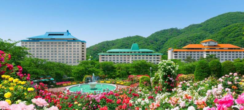 千秋阁酒店(Hotel Senshukaku)图片