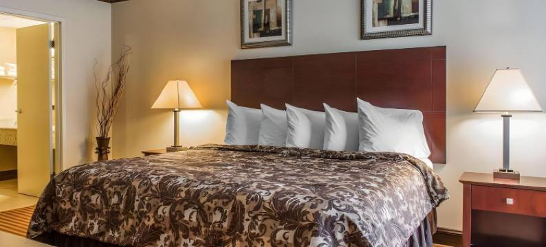 罗德威套房旅馆(Rodeway Inn & Suites)图片