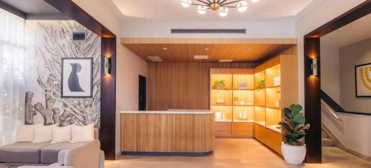 复兴酒店(Hotel Renew)图片