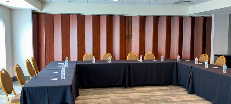 智选假日套房酒店列克星敦东北(Holiday Inn Express & Suites Lexington Dtwn Area-Keeneland)图片