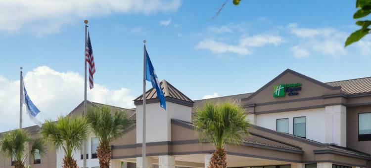 智选假日套房酒店新奥尔良机场(Holiday Inn Express & Suites New Orleans Airport South)图片