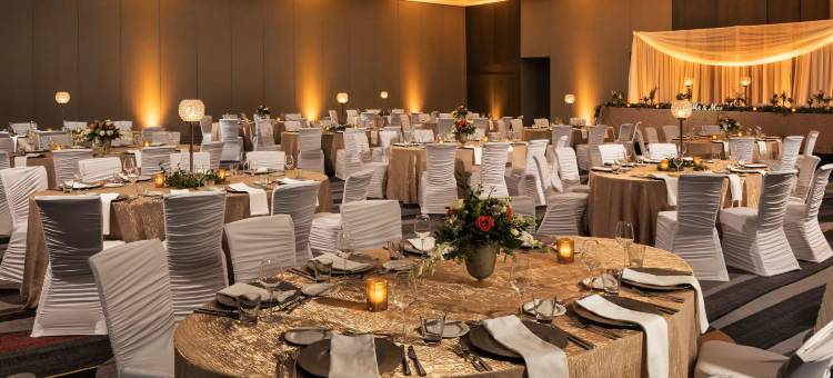 凯悦丽晶酒店-布卢明顿-明尼阿波利斯(Hyatt Regency Bloomington - Minneapolis)图片