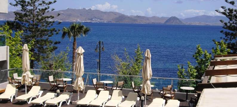 布里斯托海景公寓式酒店(Bristol Sea View Apartments)图片