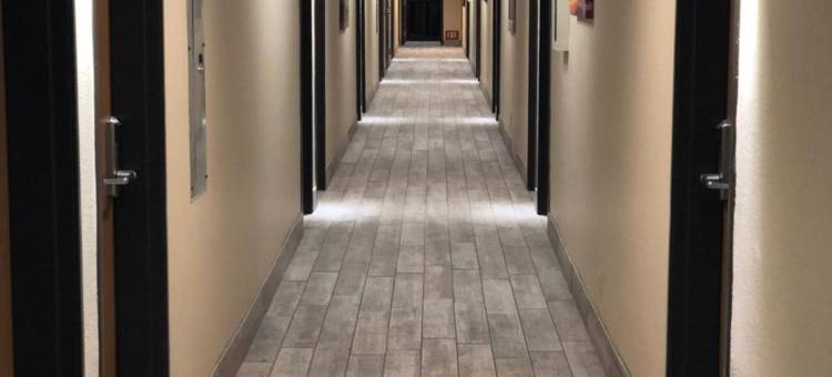 贝德福德DFW机场西速8酒店(Super 8 by Wyndham Bedford DFW Airport West)图片