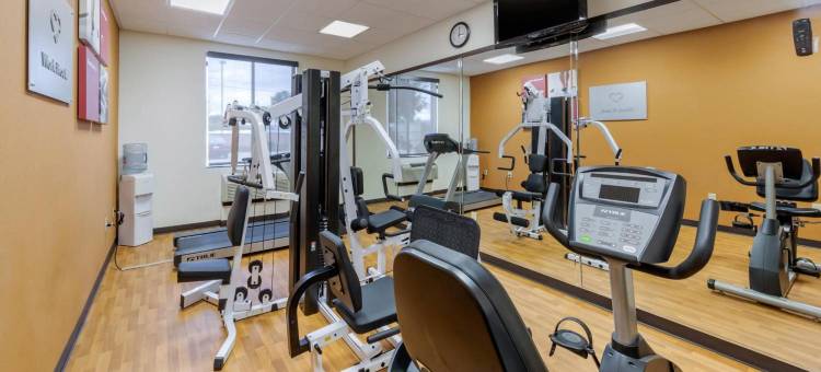 洛杉矶工业城附近舒适套房酒店(Comfort Suites Near City of Industry - Los Angeles)图片