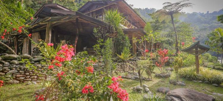 回到自然生态旅馆(Back to Nature Ecotourism)图片