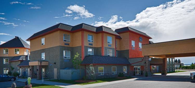 凯艺套房酒店(Quality Inn & Suites)图片