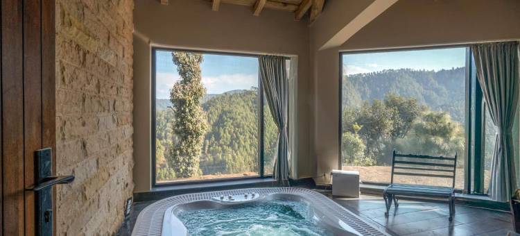 洋甘菊庄园(The Chamomile Estate)图片