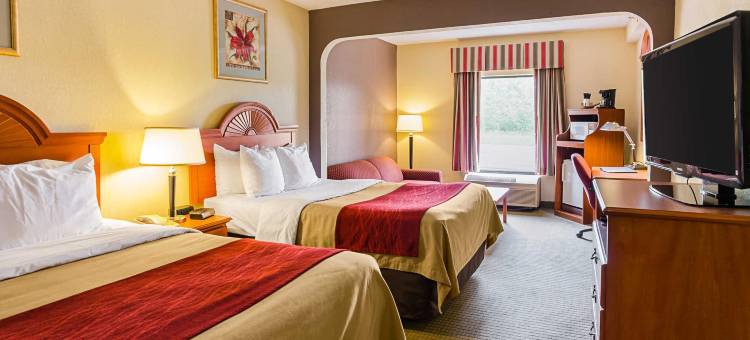 阿尔塔维斯塔品质酒店套房-南林兹堡(Quality Suites Altavista – Lynchburg South)图片