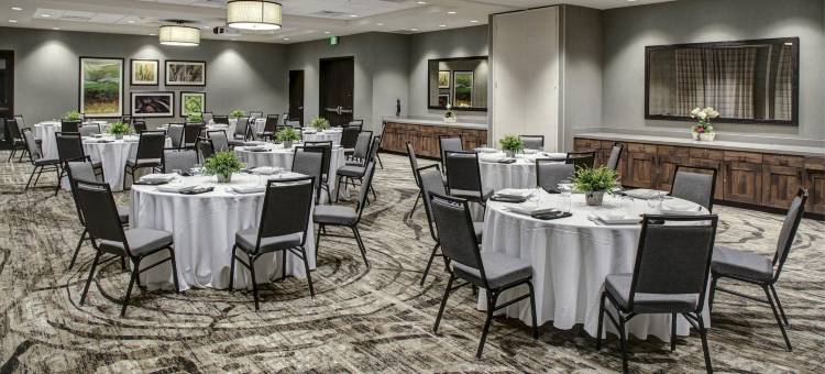 博兹曼SpringHill Suites酒店(SpringHill Suites Bozeman)图片