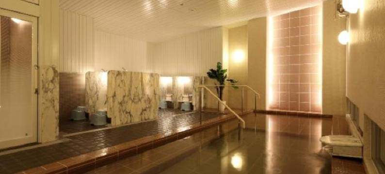 仙台多贺城微笑酒店(Smile Hotel Sendai Tagajyo)图片