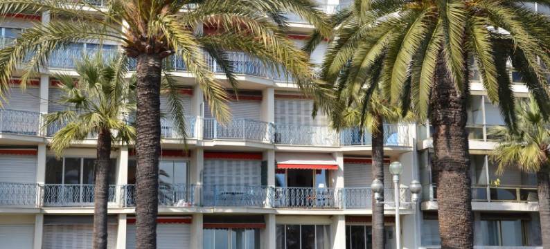 南方大酒店(Le Grand Sud)图片