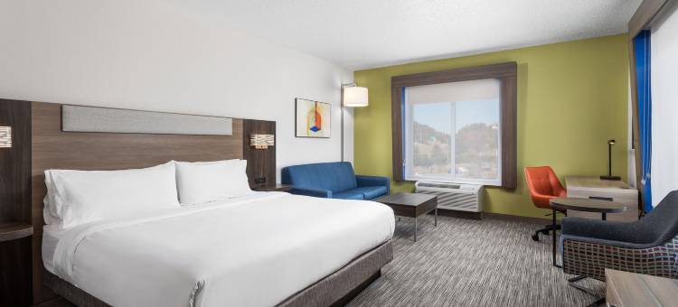 智选假日套房酒店查塔努加，望风MTN(Holiday Inn Express & Suites Chattanooga-Lookout Mtn)图片