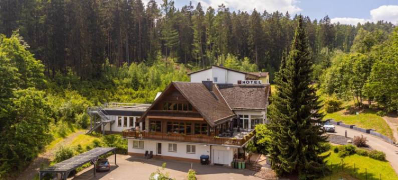 厄热塔尔瓦尔德酒店(Waldhotel Ehrental)图片