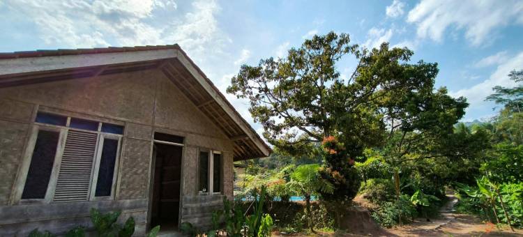 曼南格尔农场住宿(Farmstay Manangel)图片