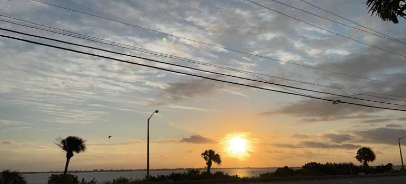 河棕榈酒店(River Palm Hotel)图片