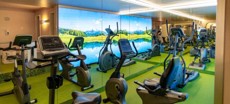 辛德勒霍夫酒店(Hotel Schindlerhof)图片