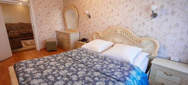 泽雅酒店(Zeya Hotel)图片