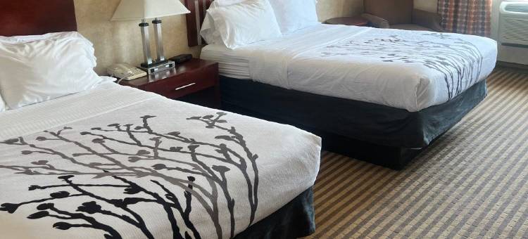 林奇堡豪华庄园酒店(IHG旗下)(Lynchburg Grand Estate by IHG)图片