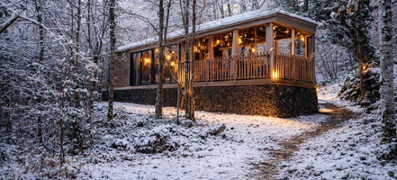 铁之天使(La Cabane Enchanteresse)图片