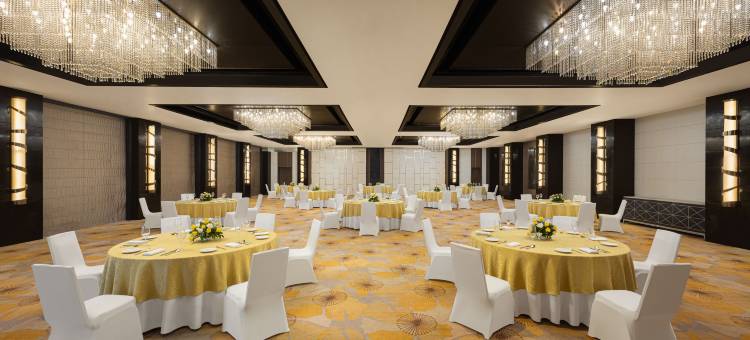 比拉斯布尔万豪万怡酒店(Courtyard by Marriott Bilaspur)图片