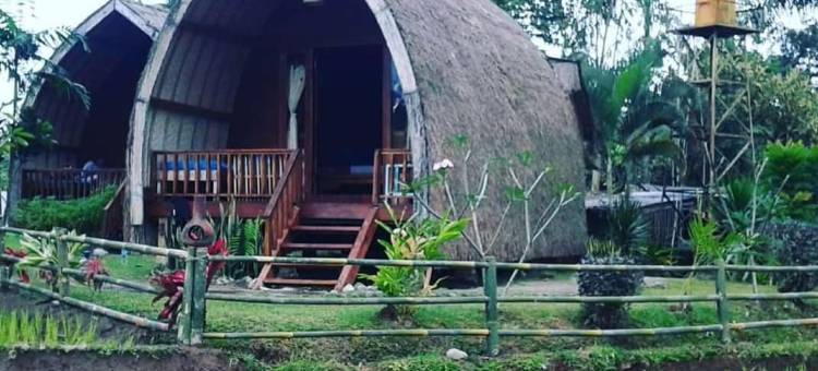 哈基基简易别墅旅馆(Hakiki Inn Bungalows)图片