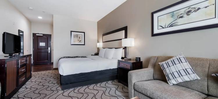 奥本拉昆塔温德姆套房酒店(La Quinta Inn & Suites by Wyndham Auburn)图片