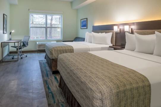 华尔道夫/华盛顿哥伦比亚特区蔚景温德姆酒店(Wingate by Wyndham Waldorf/Washington DC Area)