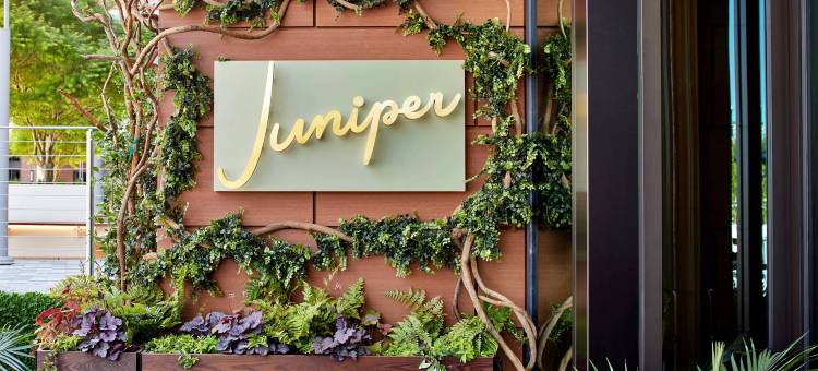 格林维尔万豪AC酒店(AC Hotel Greenville)图片